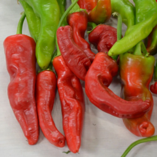 Baklouti Pepper Spicy Olive Oil
